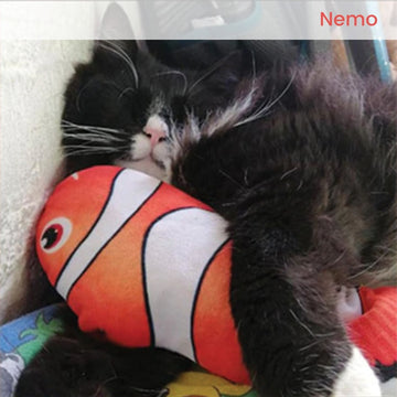 Floofi USB Electric Fish Toy (Nemo) Floofi